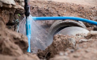 Signs You Could Have a Broken Sewer Line